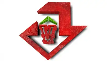 VIP Video downloader