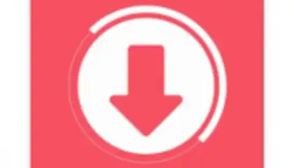 VidMad Video Downloader