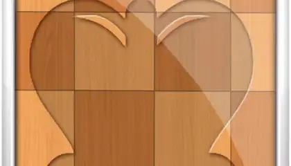 Шахматы