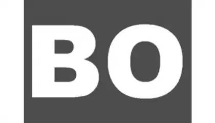BOAssistant