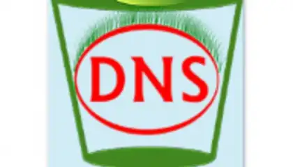Flush DNS