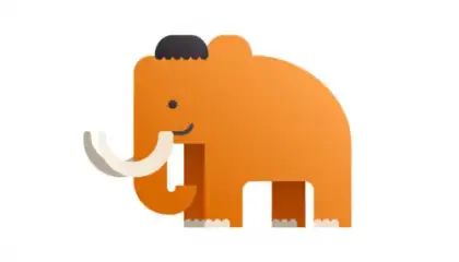 DuoCards - Vocabulary Builder