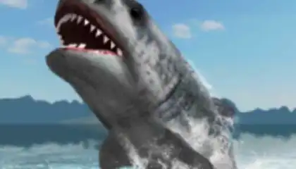 Great White Shark Survival